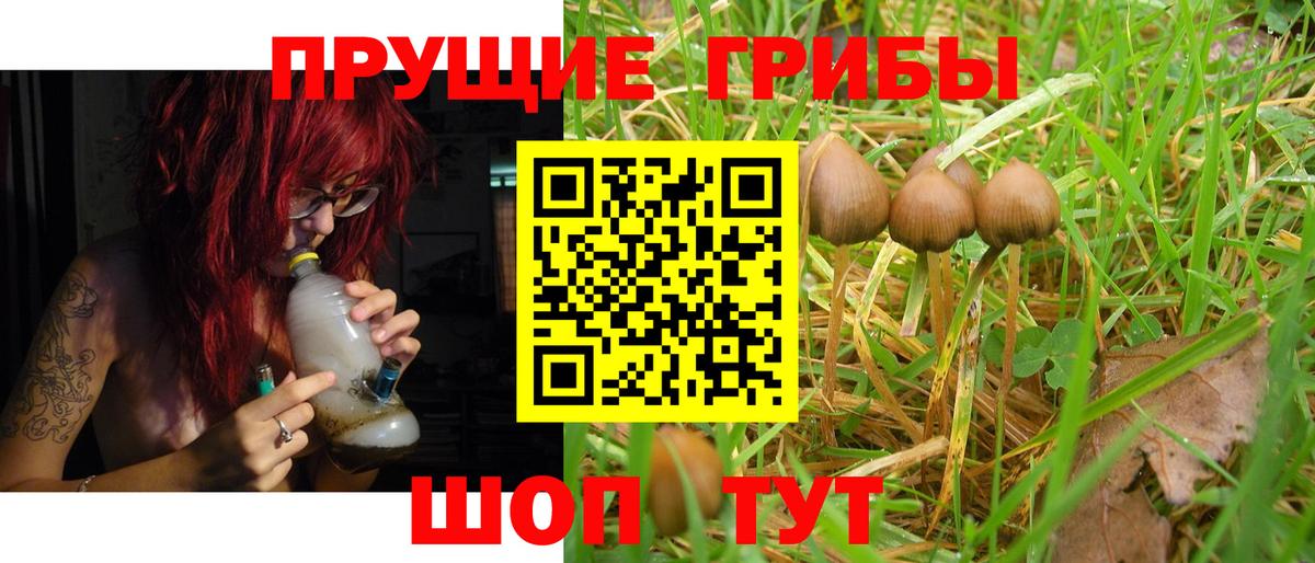 Абинск  Псилоцибиновые грибы мухоморы  Вход с VPN 
