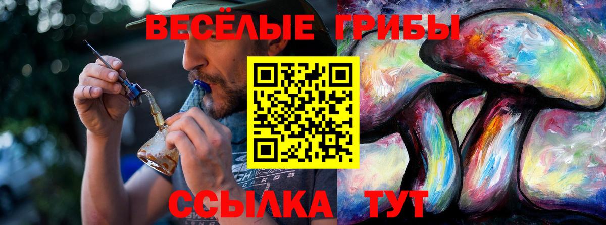 Псилоцибиновые грибы Magic Shrooms Абинск